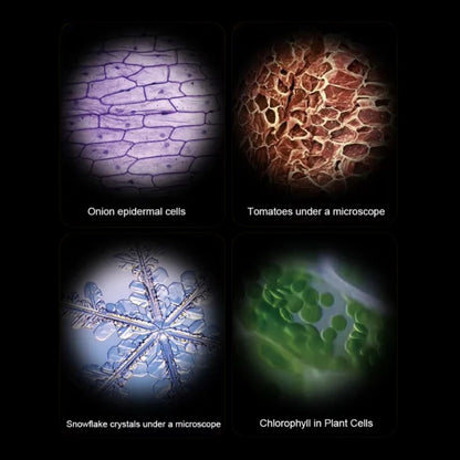 Handheld Pocket Microscope for Kids – Portable Science Toy for Learning On-the-Go